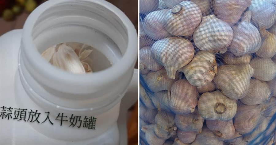 蒜農1招保存「蒜頭不發芽不發霉」!主婦大推:試過2年真的棒